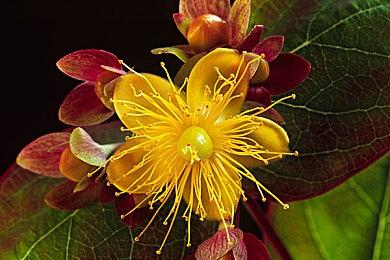 《无主之地4》新一批游戏截图 全新秘藏猎人亮相